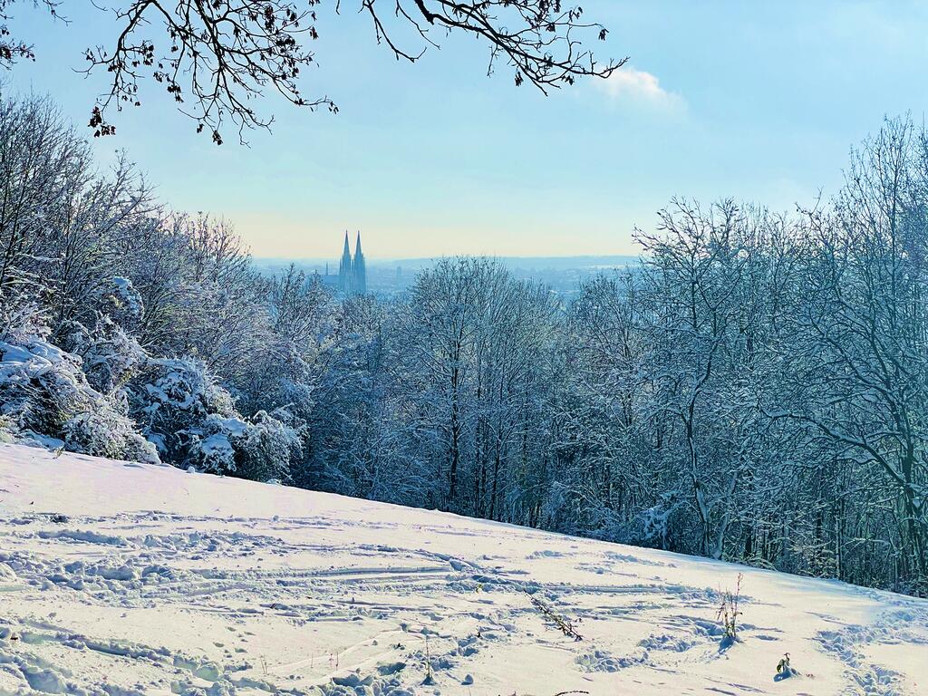 Weihnachtskarte 2024